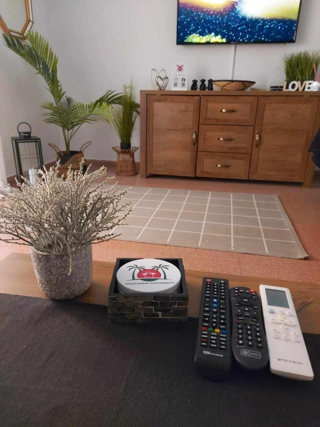 شقة Apartament Alexandro'S تورّيفيِخا المظهر الخارجي الصورة